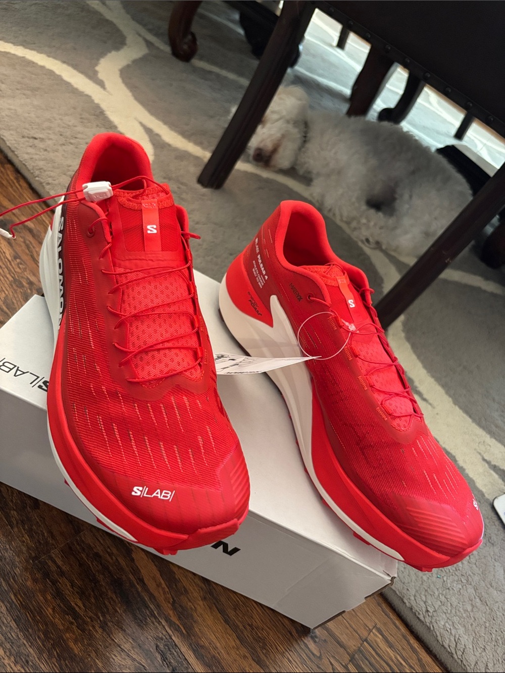 Salomon S/Lab Pulsar 4 Trail running Shoes